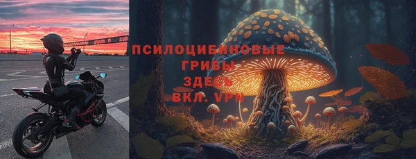 крисы Аркадак