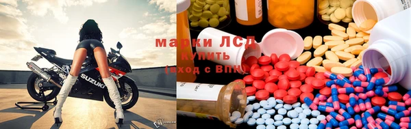 сатива Армянск