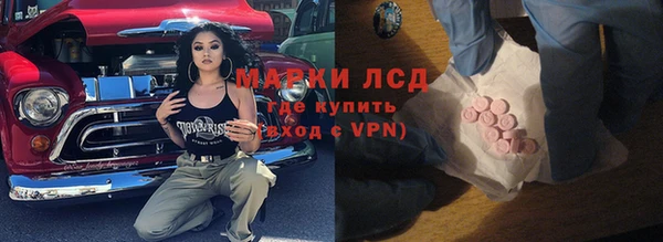 сатива Армянск